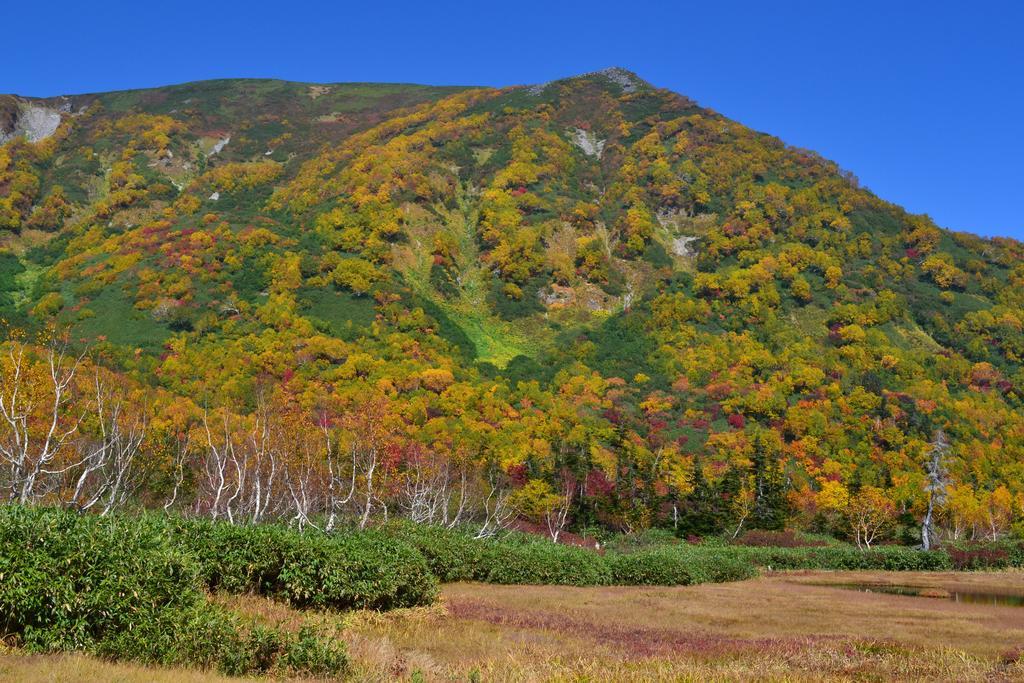 Hakuba Mominoki Hotel Exterior foto